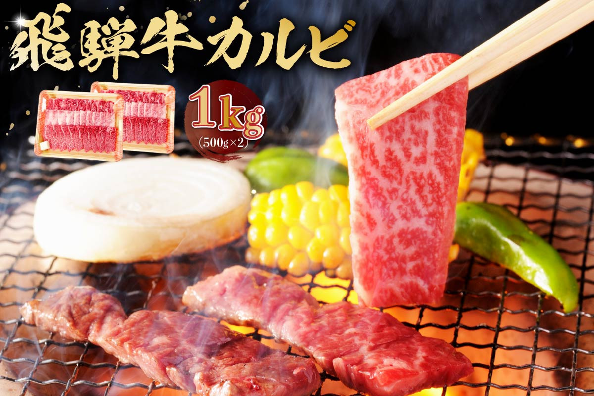 
飛騨牛 カルビ 1kg （500g×2）｜焼肉 肉 牛肉 カルビ 焼肉用 合計1kg 1キロ まとめ買い おうち焼肉 BBQ バーベキュー 肉 花見 和牛 国産牛 黒毛和牛
