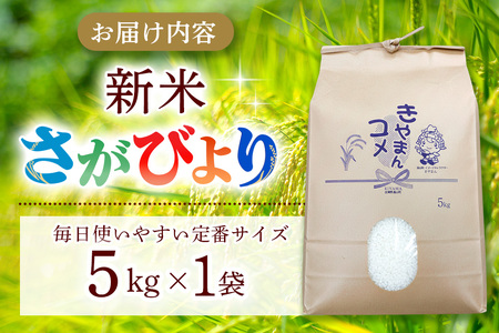 【連続特A受賞米】佐賀県基山町の米・令和7年産 さがびより(精米)5kg〈生産者直送〉【米 ブランド米 特A 冷めても美味い 5kg ふるさと納税】K094003