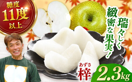 【2026年発送分 先行予約】【化粧箱入り】梓（あきづき）5-6個入（約2.3kg） / 佐賀県 / 大川三世代 [41AEAB002]