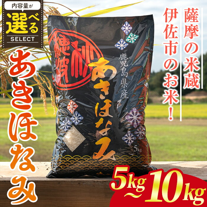 【ふるさと納税】＜内容量が選べる！＞鹿児島県産あきほなみ(5kg or 10kg) 国産 鹿児島県 米 お米 白米 伊佐米 【赤崎農園】