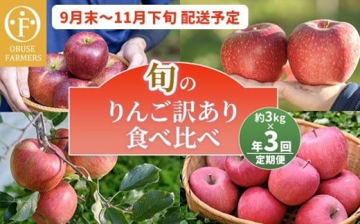 【訳あり】【3回定期便】旬のりんご訳あり約3kg食べ比べ 秋映 シナノスイート シナノホッペ サンふじ ［おぶせファーマーズ］ 不揃い 規格外 家庭用 果物 フルーツ りんご 林檎 リンゴ 長野県産 信州産 令和8年産 【2026年9月末～11月下旬】 ［F-68］