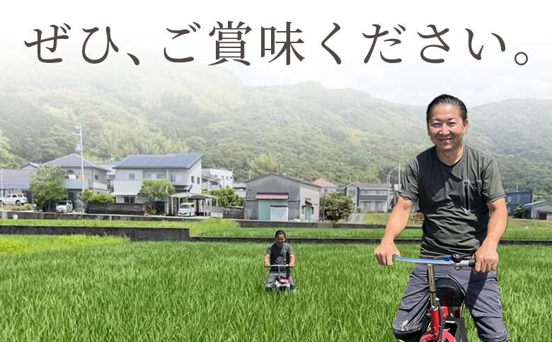 【12回定期便】特別栽培米 ミルキークイーン ５ｋｇ 令和８年産 Wsr-0007