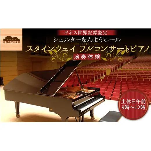 スタインウェイ フルコンサートピアノ 演奏体験 土休日午前 『シェルターなんようホール』 ギネス世界記録認定ホール 山形県 南陽市 [2722]