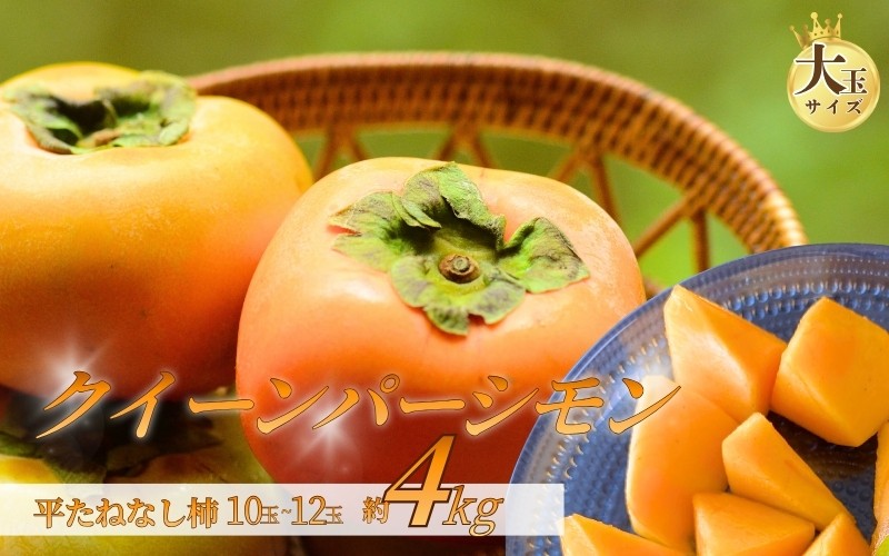
                  大玉サイズ 平たねなし柿「クイーンパーシモン」約4kg （10玉～12玉おまかせ）【2026年10月中旬から2026年11月上旬頃発送】【TM023-tec975A】
                