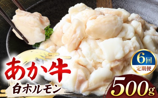 【定期便 6回】あか牛 白 ホルモン 計500g (250g×2P)  | 肉 にく お肉 おにく 牛 あか牛 ホルモン 白ホルモン 熊本県 玉名市 定期 定期便