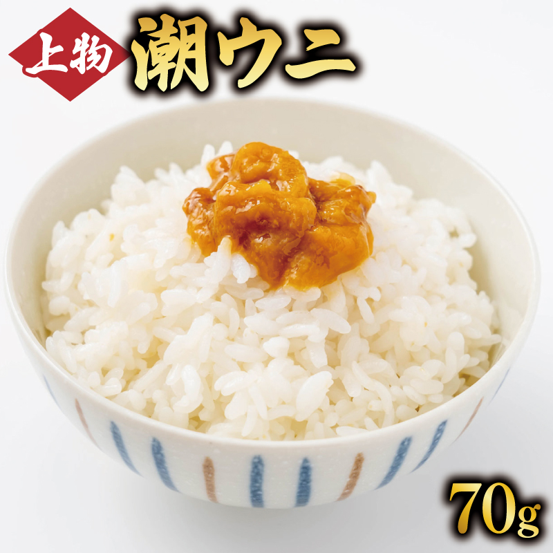 上物 潮ウニ 70g 冷凍 ミョウバン不使用 雲丹 寿司 汐うに 塩うに 海鮮 魚貝類 魚介類 キタムラサキウニ 小分け 塩水 天然 刺身 ウニ丼 ご飯 白米 おつまみ 三陸産 岩手県 大船渡市