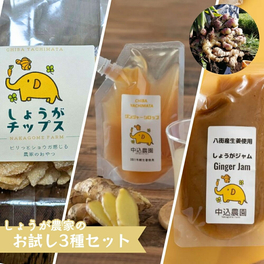 【ふるさと納税】ジンジャーシロップ3個セット・しょうがジャム3個セット・しょうがチップス3袋セット・3種お試し