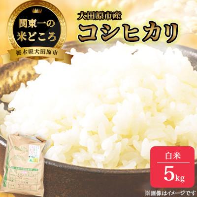 ふるさと納税 大田原市 【令和7年産新米 数量限定】古谷農産 栽培期間中農薬・化学肥料不使用 コシヒカリ 精米 5kg