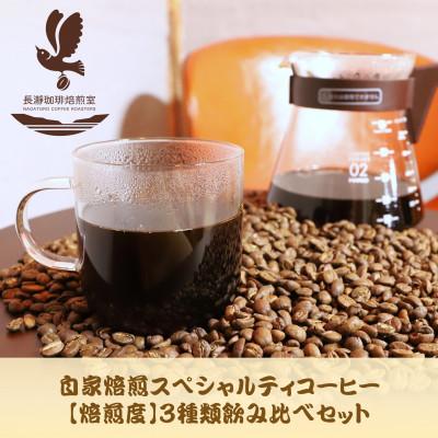 ふるさと納税 長瀞町 自家焙煎スペシャルティコーヒー(豆)【焙煎度】3種飲み比べセット100g×3袋