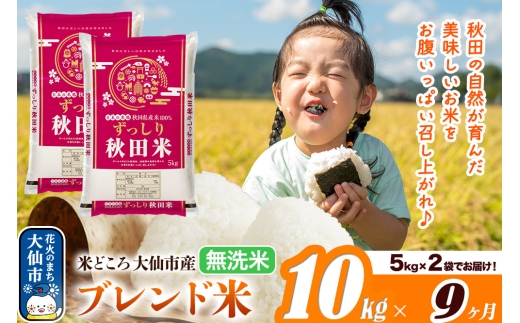 米《定期便9ヶ月》米どころ 秋田県大仙市産 ブレンド米【無洗米】10kg（5kg×2袋） [米 お米 こめ 白米 無洗米 ブレンド米 小分け ご飯 ごはん 米どころ 秋田県産 大仙市]