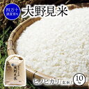 【ふるさと納税】 米 10kg ヒノヒカリ 玄米 新米 お米 特別栽培 大野見米 ご飯 ひのひかり 10キロ 四万十 高知