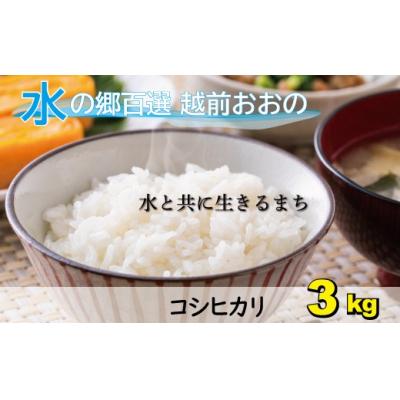 ふるさと納税 大野市 【令和7年産】こしひかり(福井県大野市産)エコファーマー(白米)米3kg