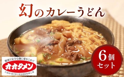 幻のカレーうどん カレーうどん うどん 6食 オオタメン 太田製麺所 製麺所 個包装 簡単調理 冷凍 めん 麺 6人前 できたて こだわり 大阪府 松原市