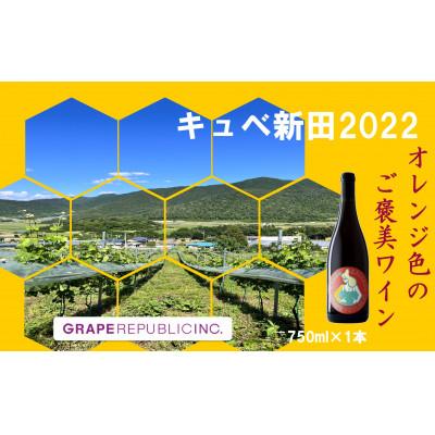 ふるさと納税 南陽市 【数量限定】 オレンジワイン「キュベ新田2022」 750ml × 1本 ぶどう【S2361】
