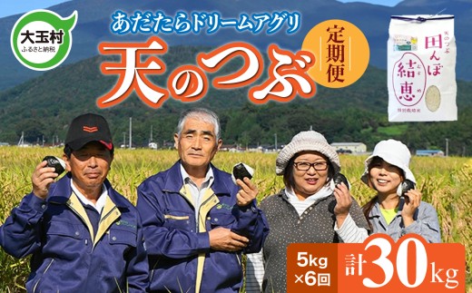 【 令和7年産 】【 おいしいお米コンクール 受賞米 あだたらドリームアグリ（株）】 天のつぶ 30kg ( 毎月 5kg × 6回) 福島県 大玉村 てんのつぶ テンノツブ  定期便