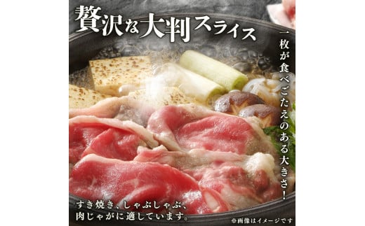 【訳あり】 黒毛和牛 大判 赤身 スライス 400g 味付け肉 国産 国産牛 冷凍 和牛 惣菜 おかず スライス 牛肉 牛 塩麹 焼肉 バーベキュー BBQ キャンプ アウトドア 焼くだけ 簡単調理 