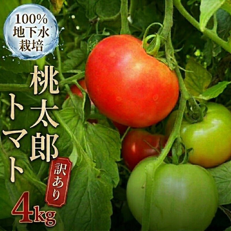 【ふるさと納税】 【 訳あり 】 地下水100％で作る美味しい 「 桃太郎トマト 」 ( 選べる 内容量 ) 4kg 8kg 野菜 桃太郎 トマト とまと 地下水 ミネラル
