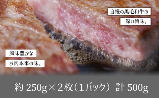 くまもと黒毛和牛・サーロイン約500g《60日以内に出荷予定(土日祝除く)》