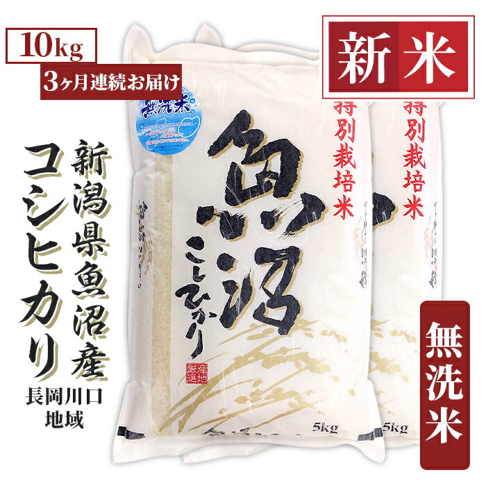 【ふるさと納税】米 無洗米 定期便 10kg 白米 コシヒカリ 魚沼 新潟 令和7年 新米 H0-7M103A【3ヶ月連続お届け】新潟県魚沼産コシヒカリ（長岡川口地域）無洗米10kg（5kg×2袋）