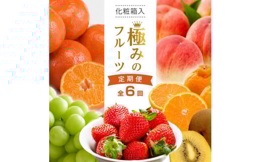 【全6回】極みのフルーツ定期便 (化粧箱入り)