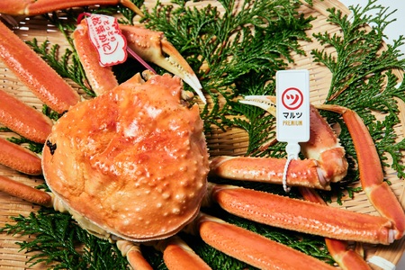 【マルツPREMIUM】活〆ボイル松葉蟹 冷蔵　「老舗 蟹専門店マルツ」