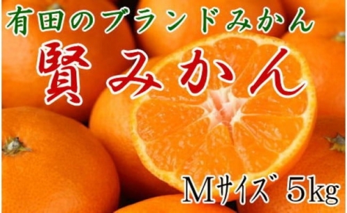 [秀品]有田のブランド「賢みかん」5kg(Mサイズ) 【2024年11月中旬頃より順次発送】