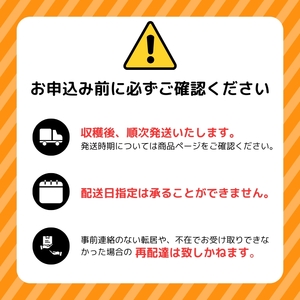【12月下旬より発送】冬グリーンアスパラ M～Lサイズ 1kg（100g 10束）【菅原クリーンファーム】伏せ込み栽培 朝採り 野菜 新鮮 緑黄色野菜 国産 北海道産 産地直送 北海道 比布町 ぴっぷ
