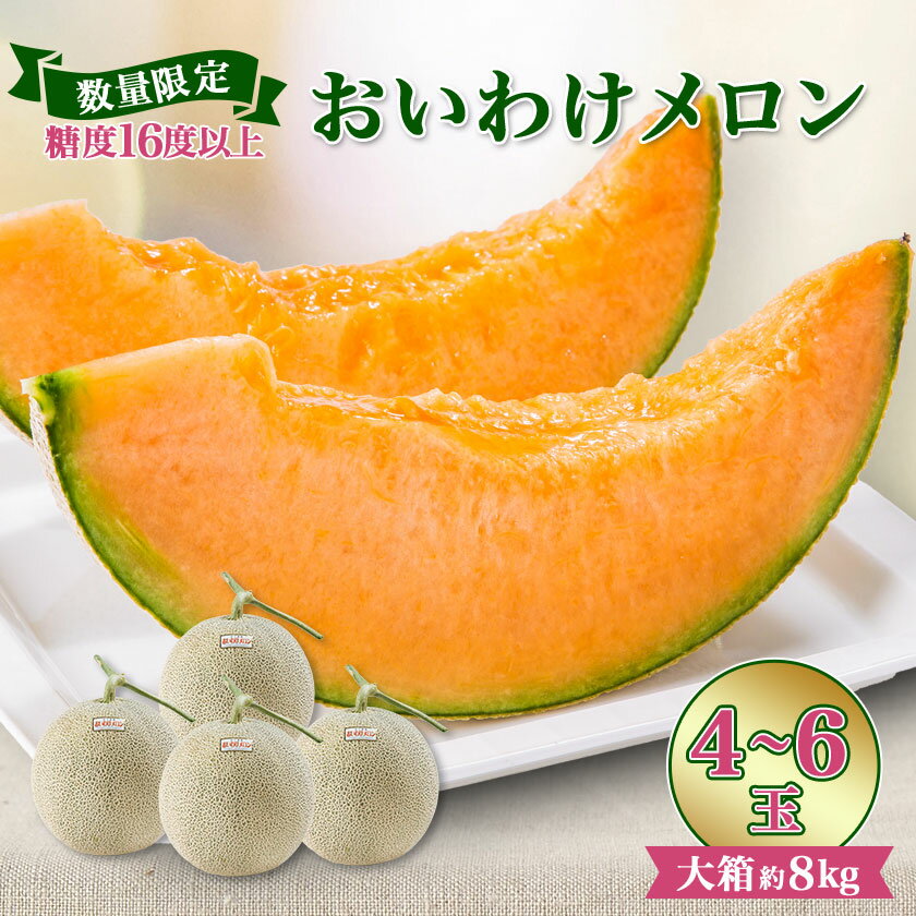 【ふるさと納税】【数量限定】おいわけメロンパック 糖度16度以上 大箱約8kg(4～6玉)_ メロン めろん 赤肉 赤肉メロン おいわけメロン 追分 数量限定 北海道 果物 くだもの フルーツ デザート 甘い 糖度 贈答 ギフト プレゼント 国産 産直 産地直送 送料無料 【1226767】