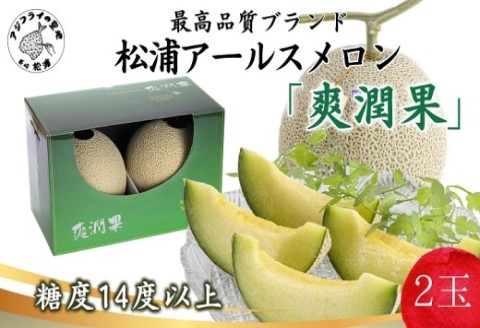 松浦アールスメロン「爽潤果(そうじゅんか)」2玉( メロン アールスメロン ブランド 人気 甘い 美味しい おいしい ギフト 期間限定 糖度14度以上 濃厚 芳醇 松浦 松浦市 長崎 長崎県 )【B5