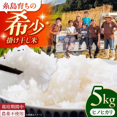 ふるさと納税 糸島市 【令和7年産】福岡県 糸島市産 白米ヒノヒカリ (掛け干し米)5kg [AVQ005]