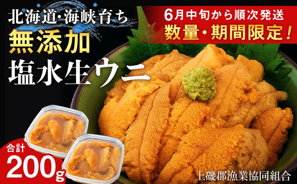 
                  【2026年6月中旬以降発送】 キタムラサキウニ 100g×2パック 上磯郡漁業協同組合 むらさきうに 塩水ウニ 塩水パック 無添加 知内町 ふるさと納税 北海道ふるさと納税 ウニ 北海道産ウニ うに 雲丹
                