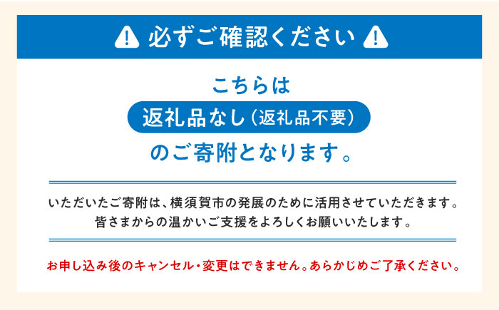 【応援寄附金】神奈川県横須賀市 返礼品なしのご寄附（100,000円）【横須賀市】 [AKZZ035]