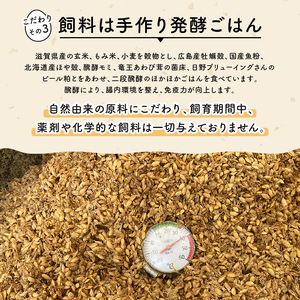 定期便 平飼い有精卵 滋賀竜王卵 20個 × 12ヵ月 ※割れ保証各3個 ( こんもり盛り上がるプルプルな卵白 滋賀竜王卵 新鮮 平飼い 卵 純国産 鶏もみじ 大人気 たまご 鶏卵 卵黄 エッグ 希少