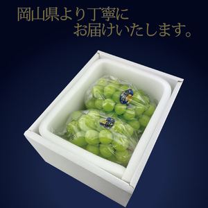 【定期便 全2回】ぶどう 2026年 先行予約 9月・10月発送 高級品 シャインマスカット 晴王 2房 合計約1.2kg  岡山県産 シャインマスカット