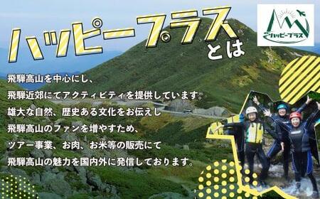 ハッピーツアー体験チケット 10,000円分 体験 ツアー 利き酒 酒蔵体験 町歩き フードツアー 座禅 シャワークライミング スノーシュー オンラインツアー アクティビティ ハッピープラス 飛騨高山