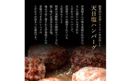 【先行受付】（2024年5月以降発送予定）食べ比べ！天日塩ハンバーグ3種セット各1個(110g×3種) 3個 ハンバーグ 黒毛和牛 土佐あかうし 美鮮豚 天然塩 天日塩 デミグラスソース 和風ソース 