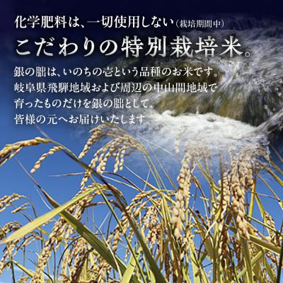 ふるさと納税 下呂市 【2025年産米】【定期便】 銀の朏 5kg×3回 皇室献上米 化学肥料不使用【13-8】 |  | 01