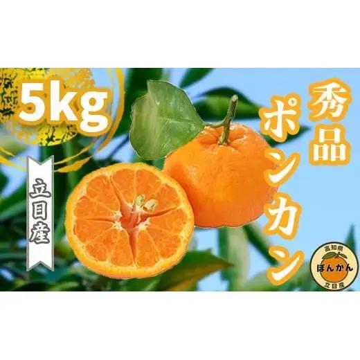 【 ぽんかん 】 ぽんかん 秀品 早期予約 5kg