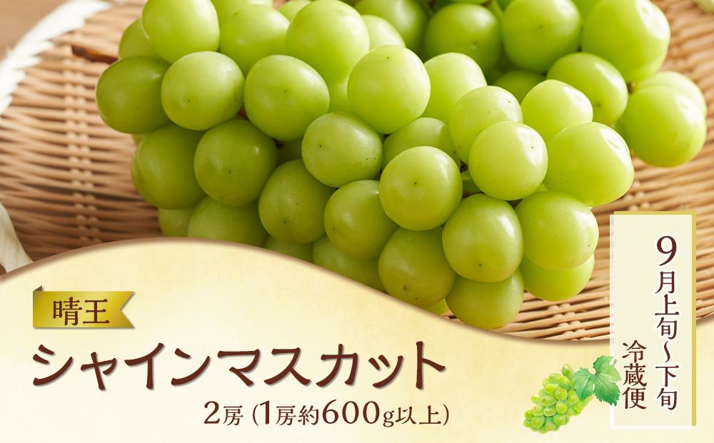 フルーツ 肉 2025年 先行予約 晴れの国 おかやま の 旬のフルーツと A5等級 黒毛 和牛 2回 定期便 ぶどう 牛肉 梨 岡山県産 国産 ギフト