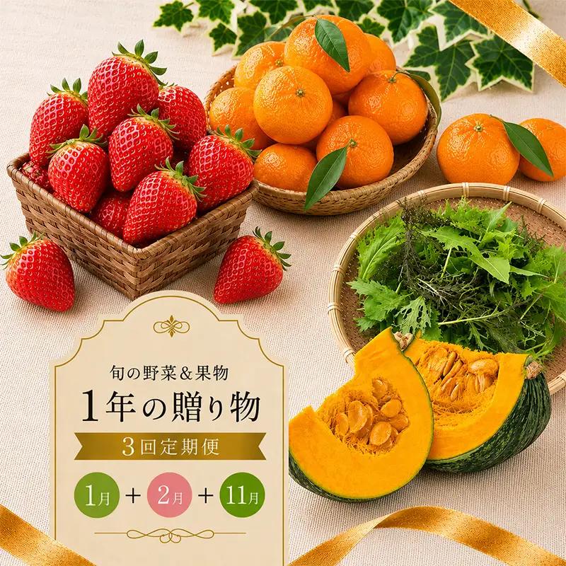 【定期便3回】 いちご 野菜 みかん 旬 野菜