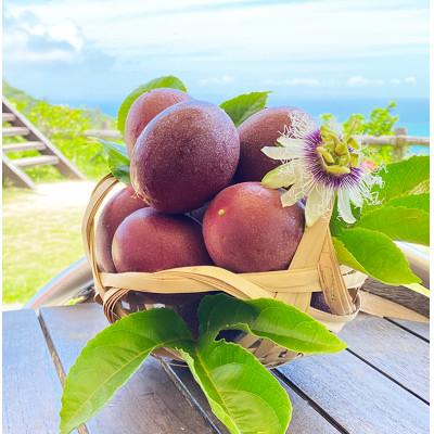 ふるさと納税 南城市 《2026年5〜6月発送》南城市産パッションフルーツ　約1kg |  | 02