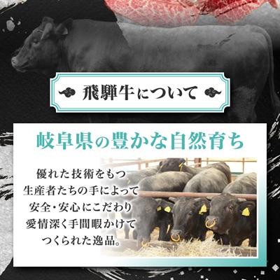 【訳あり】飛騨牛切り落し焼肉用600g【配送不可地域：離島】