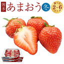 【ふるさと納税】＜選べる容量＞博多あまおう（冬）250g～270g×2パック／4パック／6パック あまおう いちご イチゴ 苺 フルーツ 果物 くだもの 冷蔵 博多 福岡県 岡垣町 送料無料【2024年12月上旬～2025年1月下旬発送予定】