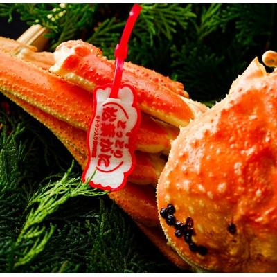 ふるさと納税 若桜町 【先行予約】鳥取県産　タグ付き浜茹で松葉がに　800g以上×1枚 |  | 01