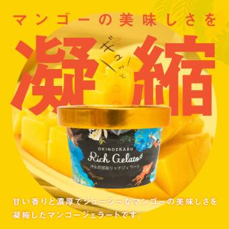 沖永良部島リッチジェラート(マンゴー味)6個セット