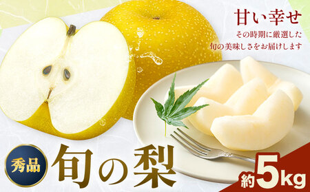 先行予約 梨 おまかせ梨 秀品 約5kg 《8月上旬-10月上旬頃出荷》日本フルーツ株式会社 フルーツ 旬の品種 