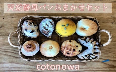 天然酵母 パン おまかせセット【cotonowa】 パン 