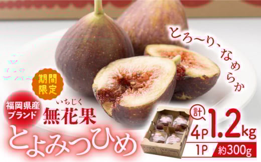 福岡産ブランド 無花果 とよみつひめ （約300g×4パック）＜南国フルーツ株式会社＞那珂川市 [GCD020]