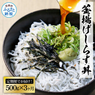 t206kgp　《3ヶ月定期便》高知県産釜揚げしらす500g 定期便 定期コース 3回 簡易梱包 シラス 小分け 国産 釜揚げ しらす丼 海鮮丼 お茶漬け ごはん 軍艦巻き 冷凍配送 おかず おつまみ