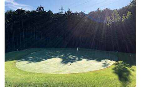 岐阜スプリングゴルフクラブ（ゴルフプレー割引券）30枚